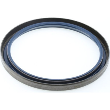 Dichtring 12001656B