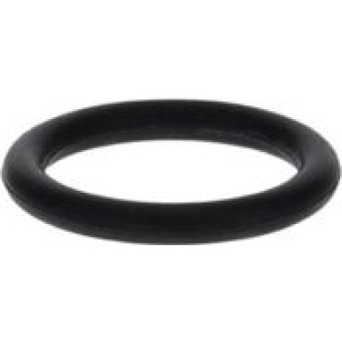 Dichtring 1 900 210 013 Dichtring 1 900 210 013