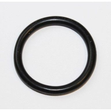 Dichtring 255.550 Dichtring 255.550