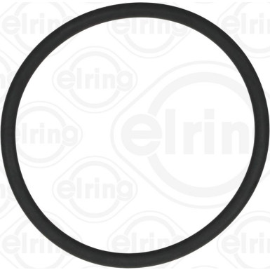 Dichtring 789.970 Dichtring 789.970