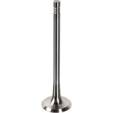FEBI BILSTEIN 181648 Auslassventil FEBI BILSTEIN 181648 Auslassventil