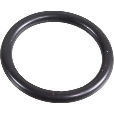 Metzger Dichtring 2430045