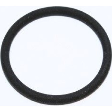 Dichtring 219.950 Dichtring 219.950
