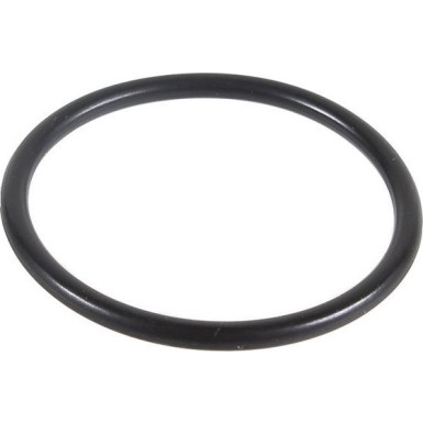 Metzger Dichtring 2430015