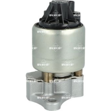 NRF AGR-Ventil 48719