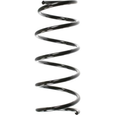 Spidan Fahrwerksfeder 56169