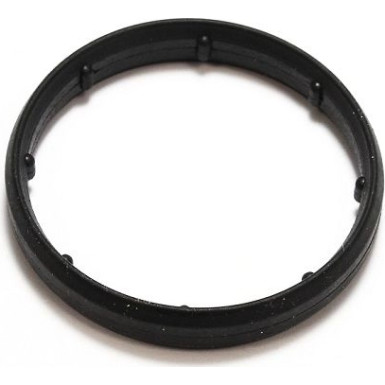 Elring Dichtung, Ansaugkrümmergehäuse 375.460