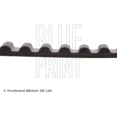Blue Print Zahnriemen ADC47508