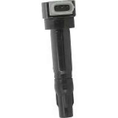 BorgWarner (BERU) Zündspule ZS547