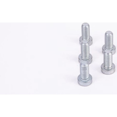 BOSCH Schraube F 01M 100 684