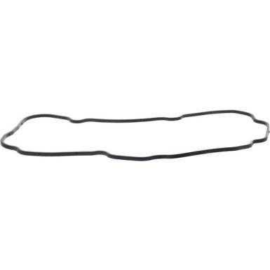 BOSCH Dichtung, Rahmen Hauptscheinwerfer 2 420 206 015