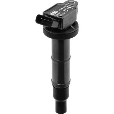 BorgWarner (BERU) Zündspule ZSE171