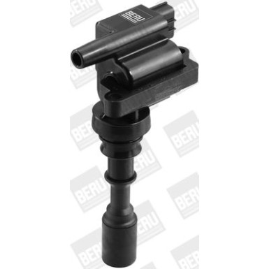 BorgWarner (BERU) Zündspule ZSE086