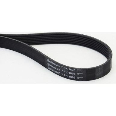 ContiTech Keilrippenriemen 7PK1605