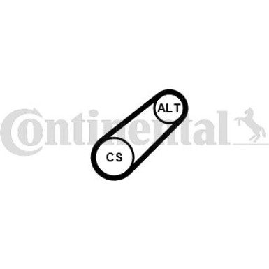 ContiTech Keilrippenriemen 6PK799 ELAST