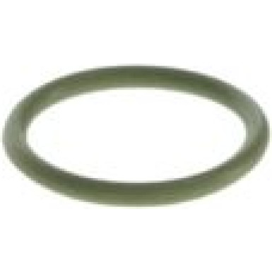 BOSCH Dichtring F 00N 200 048