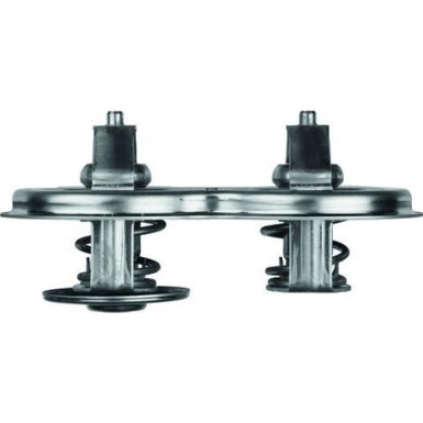 Mahle Thermostat, Kühlmittel BEHR TX 33D