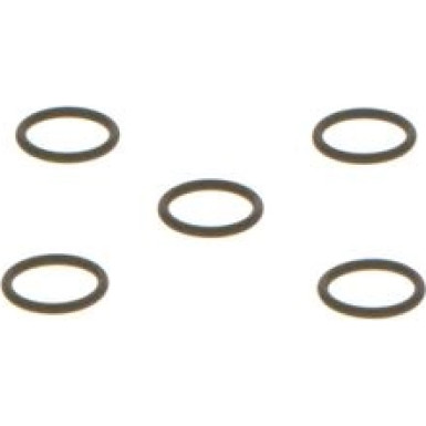 BOSCH Dichtring F 00R 0P1 255