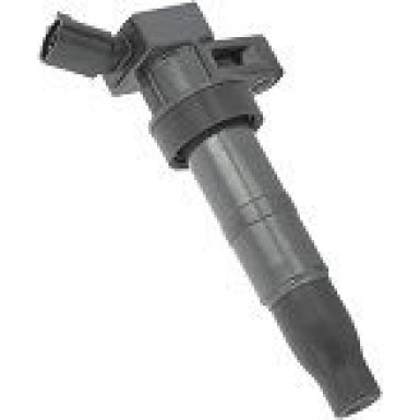 BorgWarner (BERU) Zündspule ZS548