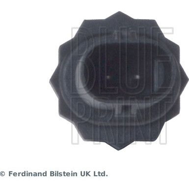 Blue Print Sensor, Kühlmitteltemperatur ADB117215