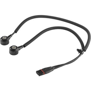Klopfsensor A2C59517063