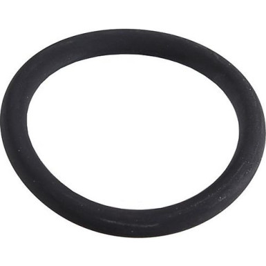 Metzger Dichtring 2430127