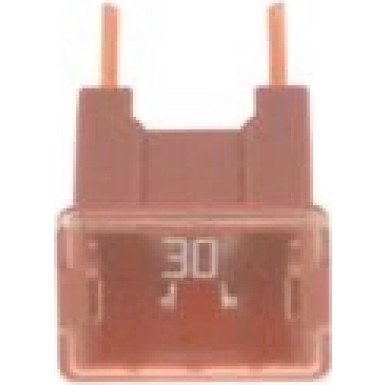 BOSCH Sicherung 1 987 529 068