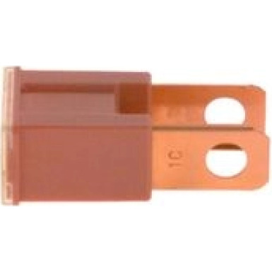 BOSCH Sicherung 1 987 529 068
