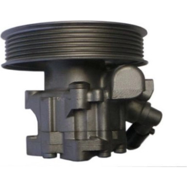 Hydraulikpumpe, Lenkung 54388 Hydraulikpumpe, Lenkung 54388