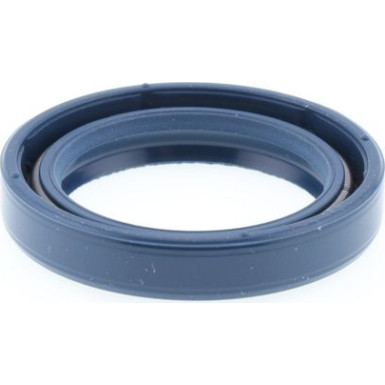 Dichtring 12001674B