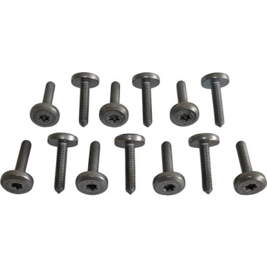 Metzger Schraubensatz, Ölwanne-Automatikgetriebe 8029025 Metzger Schraubensatz, Ölwanne-Automatikgetriebe 8029025