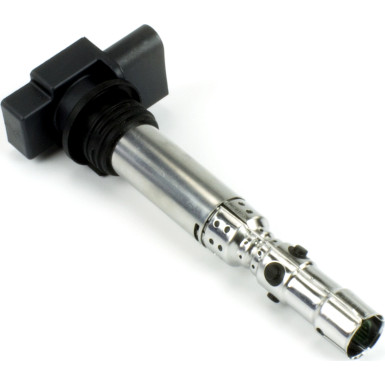 BorgWarner (BERU) Zündspule ZSE059