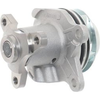 SKF Wasserpumpe VKPC 86132