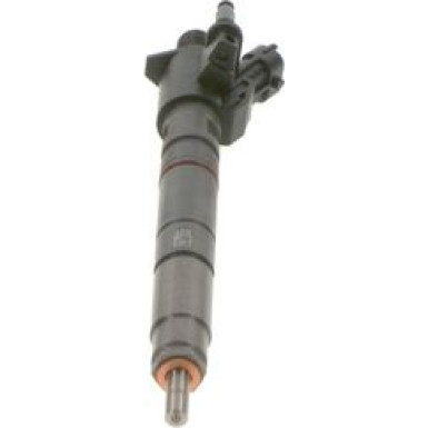 Einspritzdüse 0 445 116 081 Einspritzdüse 0 445 116 081