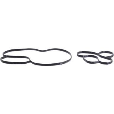 Valeo Wasserpumpe, Motorkühlung 529536