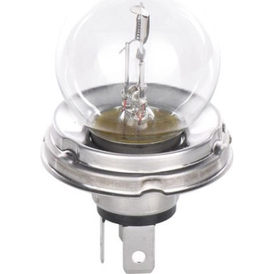 BOSCH Glühlampe Trucklight 1 987 302 421