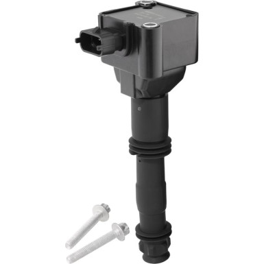 BorgWarner (BERU) Zündspule ZS178