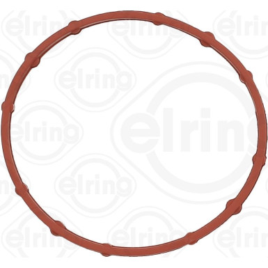 Elring Dichtung, Ansaugkrümmergehäuse 560.720