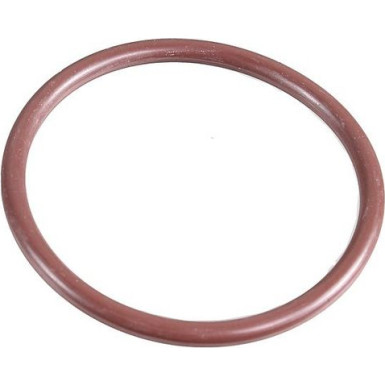 Metzger Dichtring 2430075