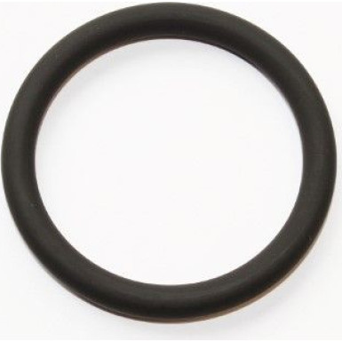 Elring Dichtring 199.310