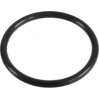 Metzger Dichtring 2430047