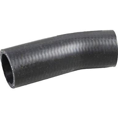 2420595 Kühlerschlauch