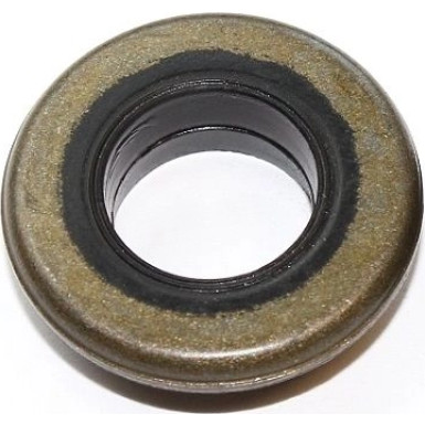Elring | Dichtung, Zylinderkopfhaubenschrauben | 445.570