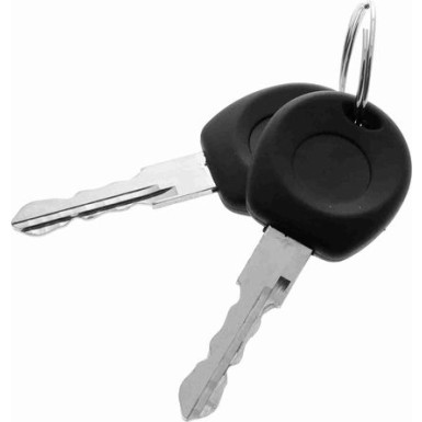 V10-6167 Türaußengriff Original VAICO Qualität