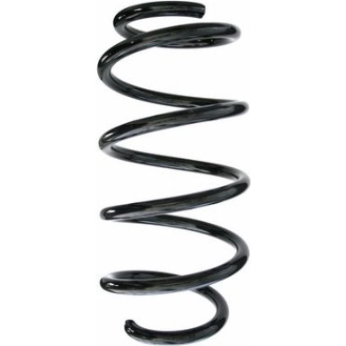 Spidan | Fahrwerksfeder | 87494