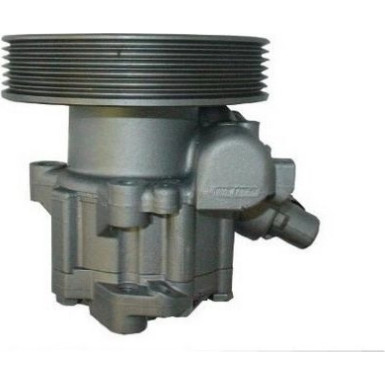 Spidan | Hydraulikpumpe, Lenkung | 53561