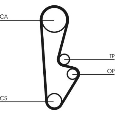 CT559 Zahnriemen