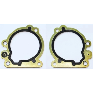 Elring | Dichtung, Kraftstoffpumpe | 246.460