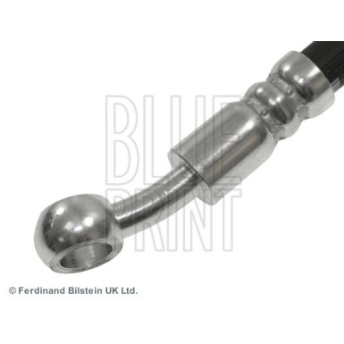 Blue Print | Bremsschlauch | ADG053181