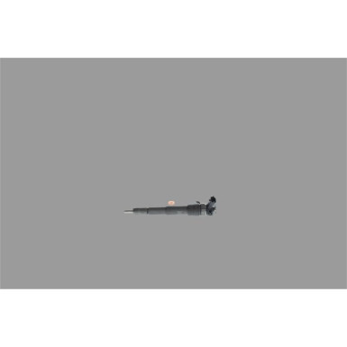 BOSCH 0 445 110 485 Einspritzdüse